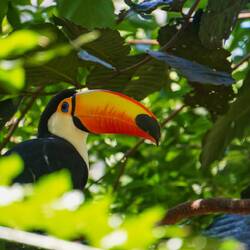 an tucan hommr gfunda🥹😍