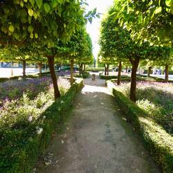 Alcázar gardens, middle garden