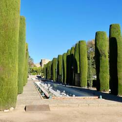 Alcázar gardens