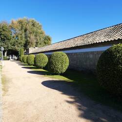 Alcázar gardens