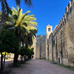 Alcázar wall