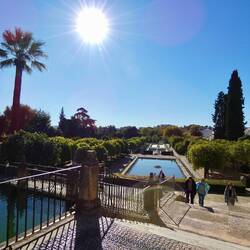 Alcázar gardens, looking from upper level towards the middle and lower levels