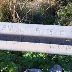 La poesia permea anche questi siti...