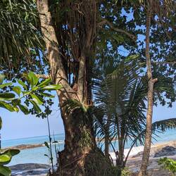 Entspannen am Strand