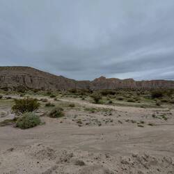 Eigentlich ein schöner Hintergrund bei Sonnenschein.