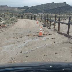 Da ging was quer über die Straße.