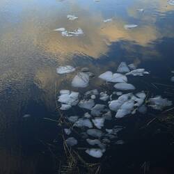 Zwischen Himmel und Erde (bzw. Wasser)