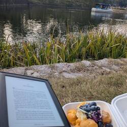 Lesen im Zhongshan Park (mit Windbeuteln)