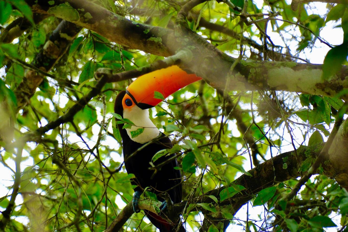 Besuch zum Frühstück