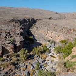 Het is groen in de wadi