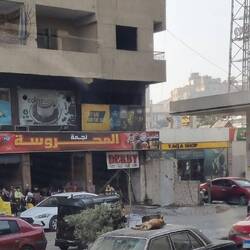 Bloß keine schlafenden Hunde wecken