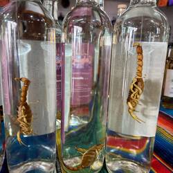 Tja, was soll man da sagen? Prost!