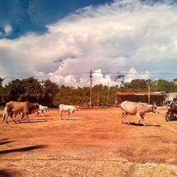 Wieder zurück ... mit trockener Straße...