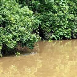 Am Steg von unserer Unterkunft... Marty wohnt hier