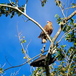 Ums Haus rum gibt's auch viel zu sehen...