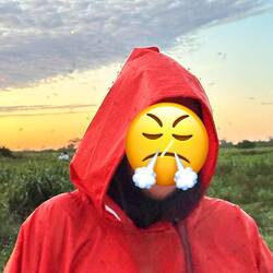 Zuuuu viele Moskitos!!!