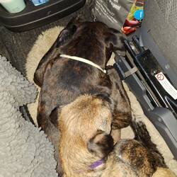 Stapeln auf der Fahrt