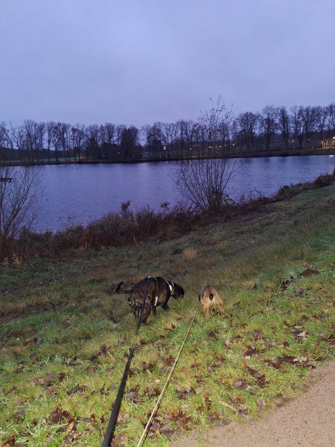 Erste Gassi Runde, nach dem Nachtdienst und ab in den Urlaub
