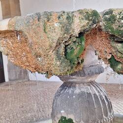 Ein alter Brunnen... 🫠