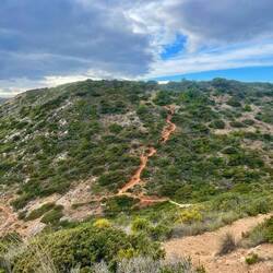 Lots of ups and downs