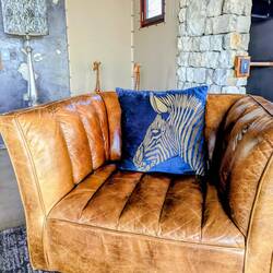 Perfekte Zimmer-Deko für uns! 🦓