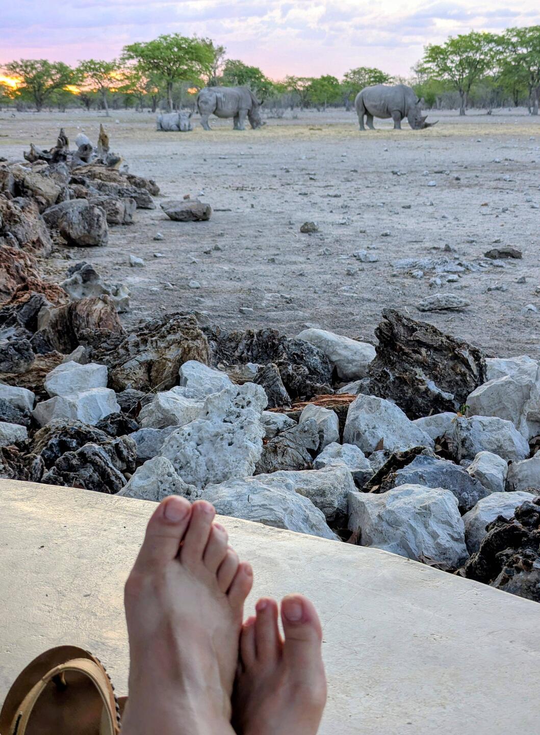 "Blick-über-die-Füße"-Bilder gehen auch mit Nashorn statt Pool