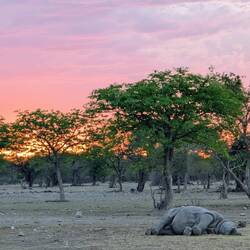 Sundowner. Weil's so schön ist.
