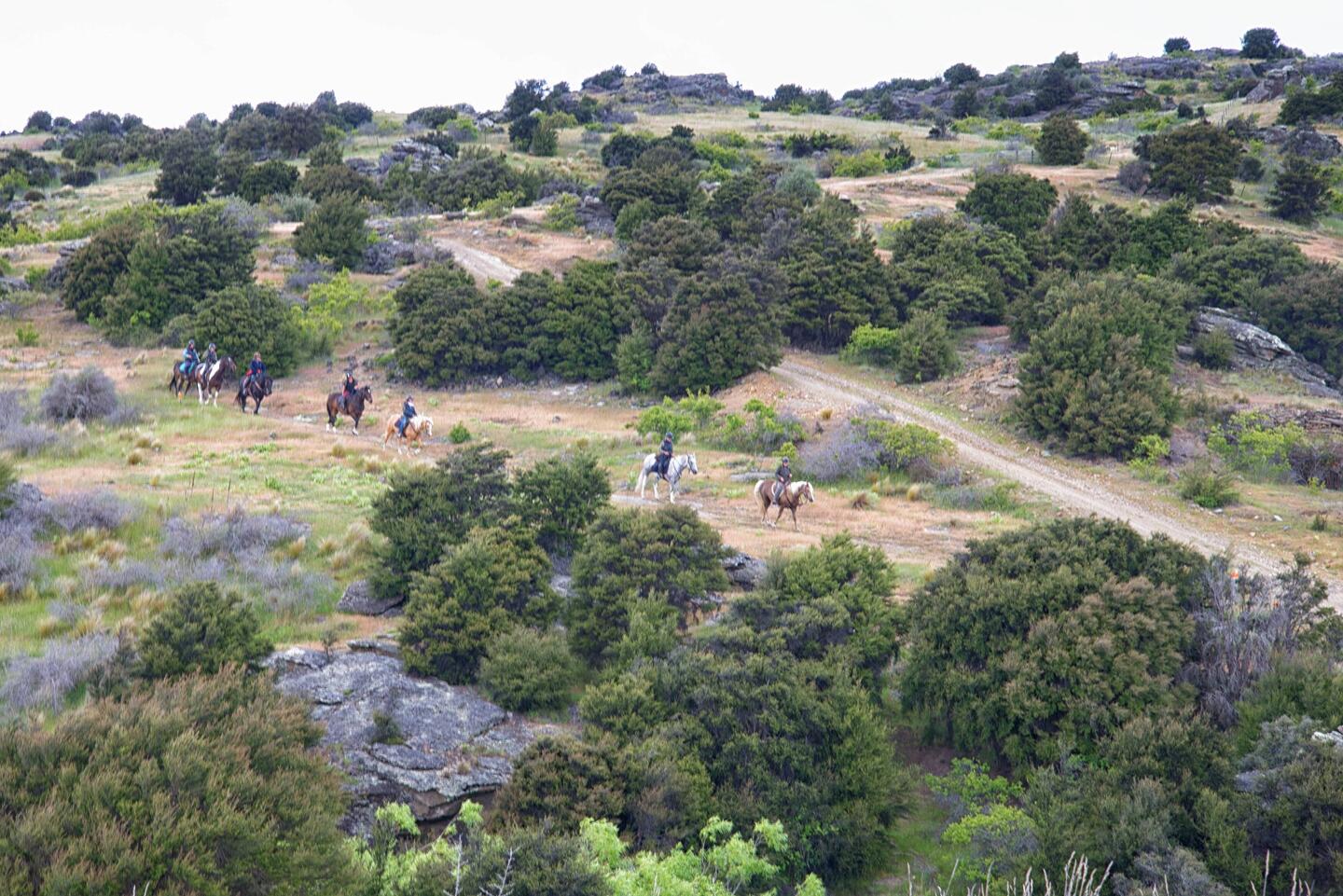 Here come the cowboys