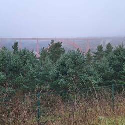 Raucherstopp mit Blick auf die Brücke