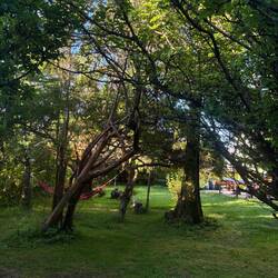 der Garten des Hostels