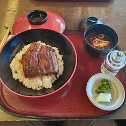 Unagi-don