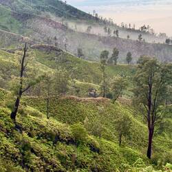 Fluted grooves and channels that run down the volcano's flank