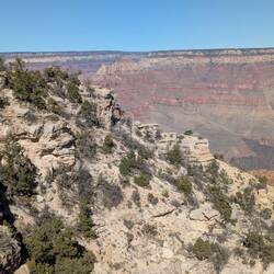 Everett out in the distance admiring the land.