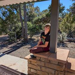 Holden back in the forest, admiring the picnic facilities.