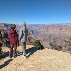 Assessing their next move.