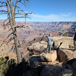 Contemplating of they could safely make it out to the next ledge. (They could not.)