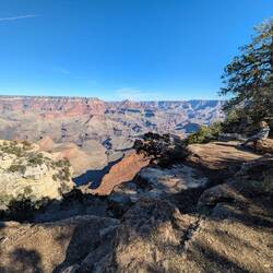 Views from Shoshone Point.