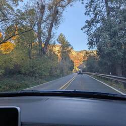 I never expected so beautiful fall colors and tree-lined roads in Arizona...