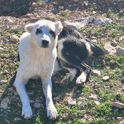 Sie hat sofort unser Herz erobert ♥️