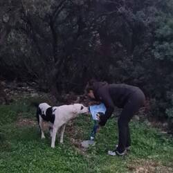 Ganz lieb schnüffelt sie, was es da gibt