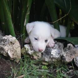 😍😍 Hundis vu dr Unterkunft