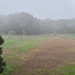Oben alles verhangen im Nebelwald.