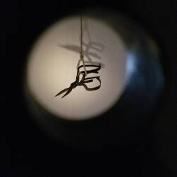 Branding shears used to cut and burn victims. Sometimes they were branded on the forehead.