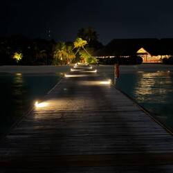 Auf dem Steg gibt es immer was zu sehen 😜