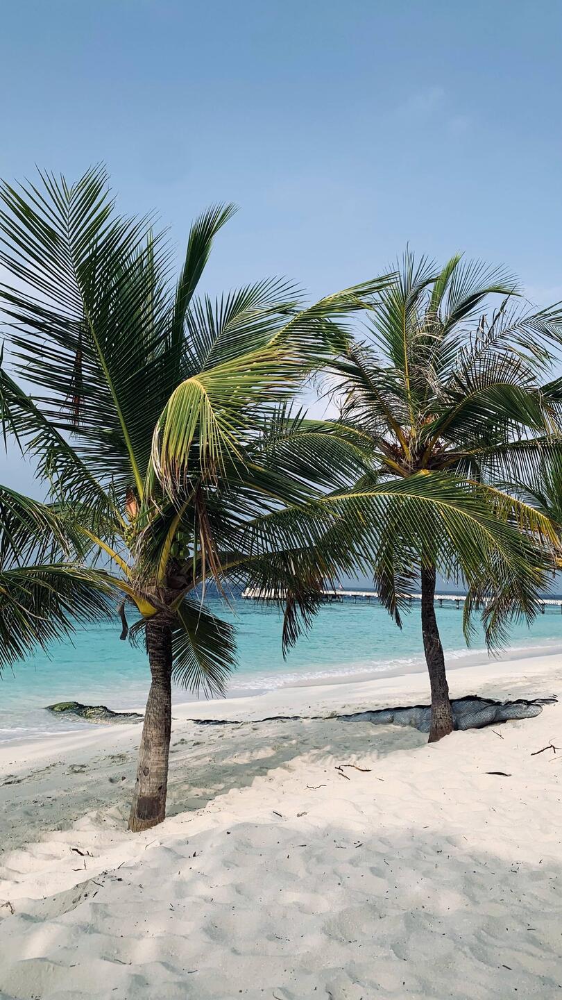 Einfach paradiesisch