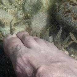 Men eating fish. 😆