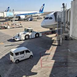 ANA- Flieger - der "Kopf"