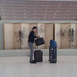 Art im Airport - das Original ist im Nationalmuseum