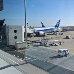 Unser ANA- Flieger hintere Hälfte