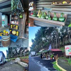 ..so Einzukaufen lieben wir 🥰